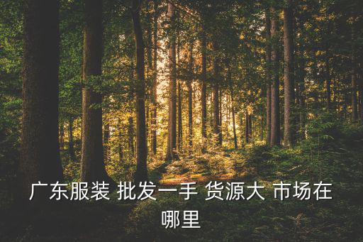 廣東服裝 批發(fā)一手 貨源大 市場(chǎng)在哪里