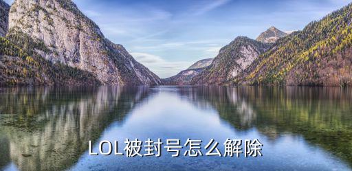 LOL被封號(hào)怎么解除