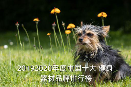 20192020年度中國十大 健身 器材品牌排行榜