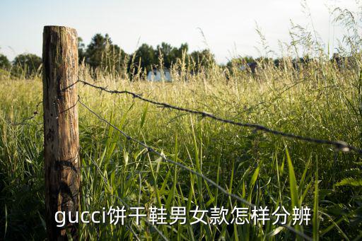  gucci餅干鞋男女款怎樣分辨