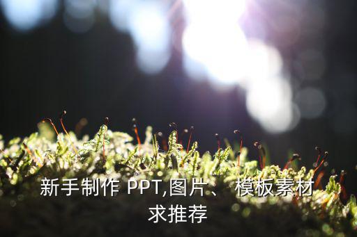 新手制作 PPT,圖片、 模板素材求推薦