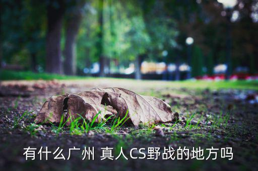 有什么廣州 真人CS野戰(zhàn)的地方嗎