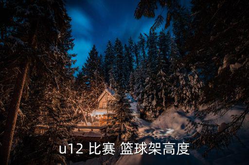 u12 比賽 籃球架高度