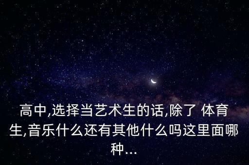 高中,選擇當藝術(shù)生的話,除了 體育生,音樂什么還有其他什么嗎這里面哪種...