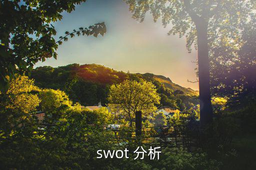  swot 分析