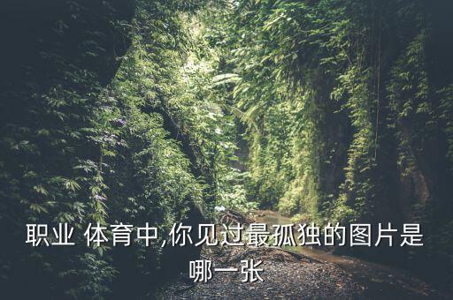 職業(yè) 體育中,你見過最孤獨(dú)的圖片是哪一張