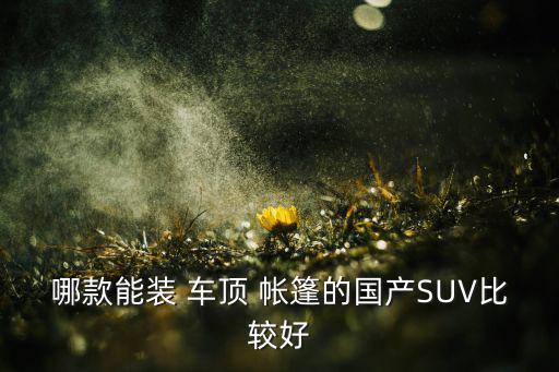 哪款能裝 車(chē)頂 帳篷的國(guó)產(chǎn)SUV比較好