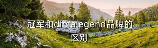  冠軍和dimalegend品牌的區(qū)別