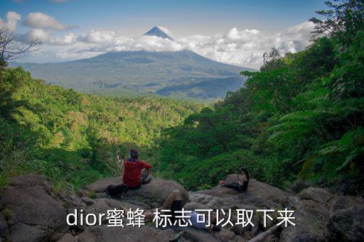 dior蜜蜂 標志可以取下來