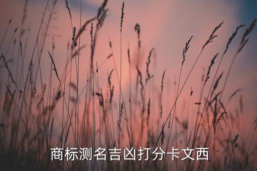  商標(biāo)測名吉兇打分卡文西