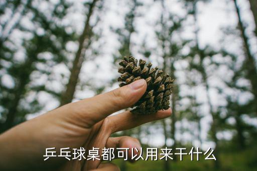  乒乓球桌都可以用來(lái)干什么