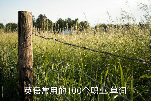 英語常用的100個職業(yè) 單詞