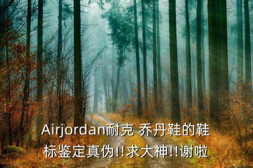 Airjordan耐克 喬丹鞋的鞋標(biāo)鑒定真?zhèn)?!求大神!!謝啦