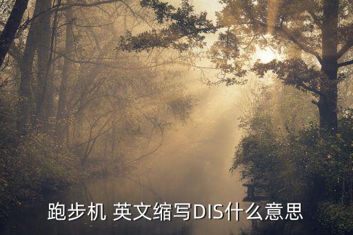 跑步機 英文縮寫DIS什么意思