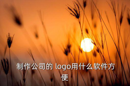  制作公司的 logo用什么軟件方便