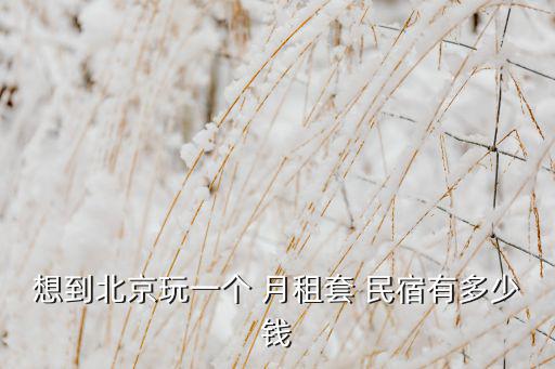 月租民宿多少錢,西雙版納房租一個(gè)月幾百元過(guò)冬民宿一晚幾千元