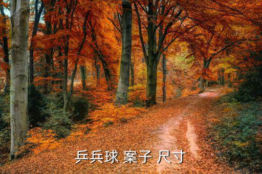 乒乓球案子的尺寸,乒乓球套長(zhǎng)約2.7m可定制桌子規(guī)格