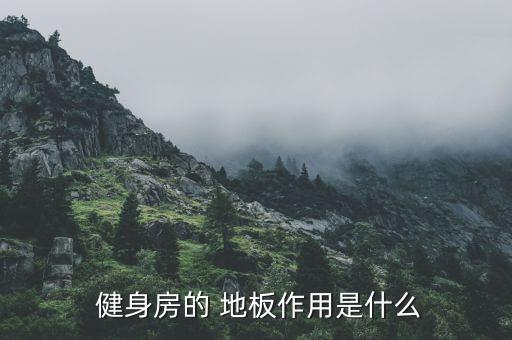  健身房的 地板作用是什么