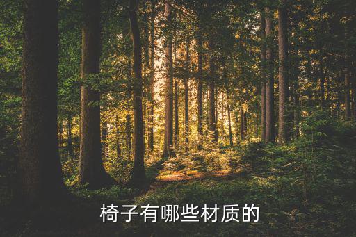  椅子有哪些材質(zhì)的