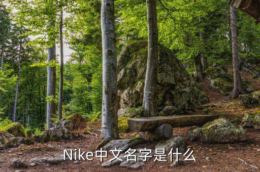 Nike中文名字是什么