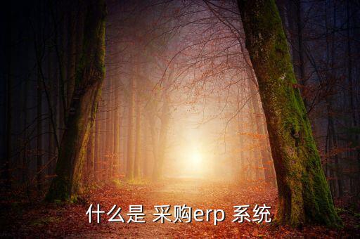 什么是 采購erp 系統(tǒng)