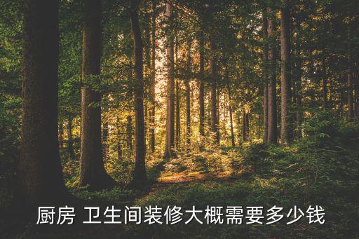  廚房 衛(wèi)生間裝修大概需要多少錢(qián)