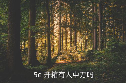 5e開箱網(wǎng)站,5e戰(zhàn)斗平臺大廳右側(cè)背包發(fā)現(xiàn)神秘寶箱