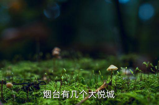 陽泉最大的購物中心,全島最大綜合購物中心名牌商家200多家