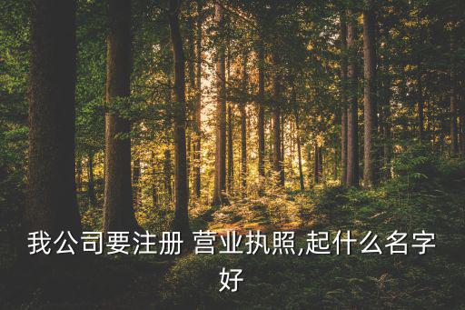 我公司要注冊 營業(yè)執(zhí)照,起什么名字好