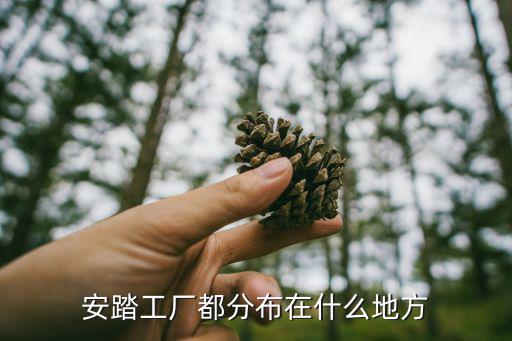 酒泉體育用品加工廠在哪里,安踏體育用品生產(chǎn)廠家有哪些?