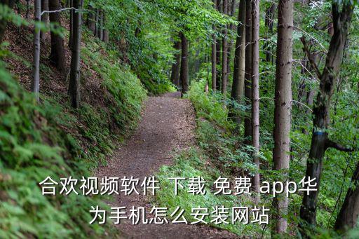 下載app免費下載,如何下載華為手機免費app?一文看懂