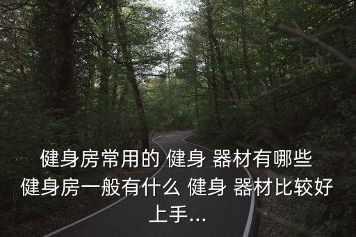  健身房常用的 健身 器材有哪些 健身房一般有什么 健身 器材比較好上手...