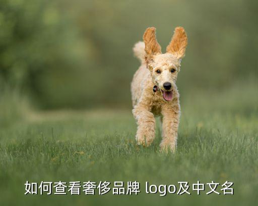 如何查看奢侈品牌 logo及中文名