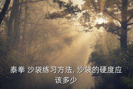 泰拳 沙袋練習(xí)方法, 沙袋的硬度應(yīng)該多少