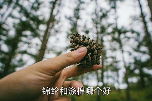 錦綸繩子和滌綸繩子哪個結(jié)實,尼龍繩和錦綸繩有什么區(qū)別?