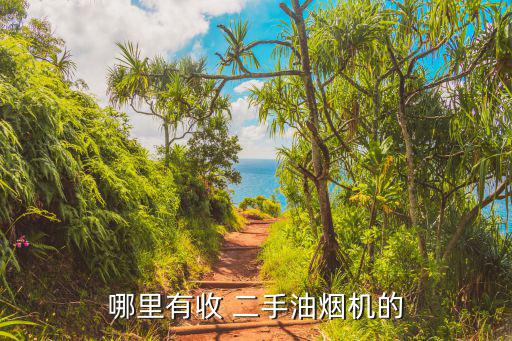 深圳回收廚房二手設(shè)備電話,浦東有人回收二手油煙機(jī)凈化器