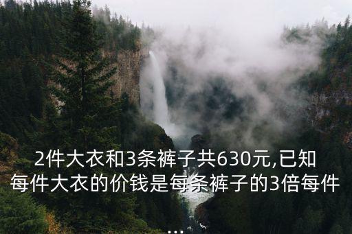 2件大衣和3條褲子共630元,已知每件大衣的價錢是每條褲子的3倍每件...