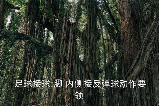  足球接球:腳 內(nèi)側(cè)接反彈球動作要領(lǐng)