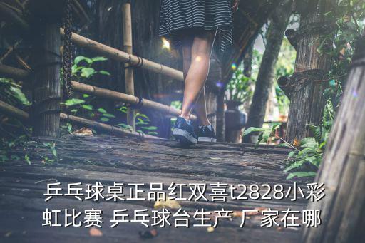  乒乓球桌正品紅雙喜t2828小彩虹比賽 乒乓球臺(tái)生產(chǎn) 廠家在哪