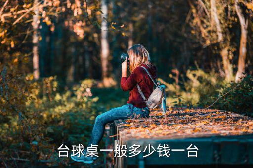  臺(tái)球桌一般多少錢一臺(tái)