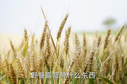 野營(yíng)帶什么食物最好吃,野餐露營(yíng)需準(zhǔn)備什么?