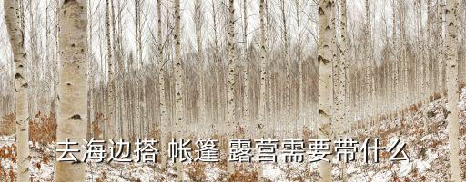 戶外帳篷露營(yíng)需要帶什么,海邊露營(yíng)需要什么帳篷?