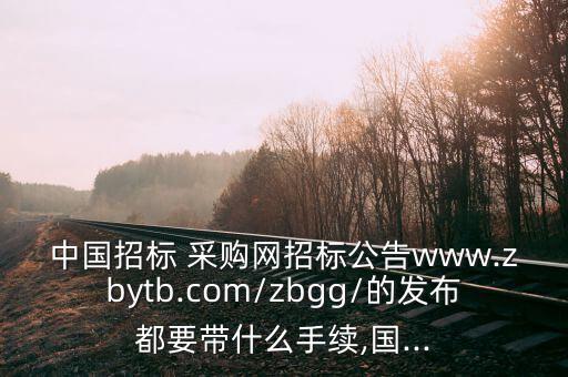 中國招標 采購網(wǎng)招標公告www.zbytb.com/zbgg/的發(fā)布都要帶什么手續(xù),國...