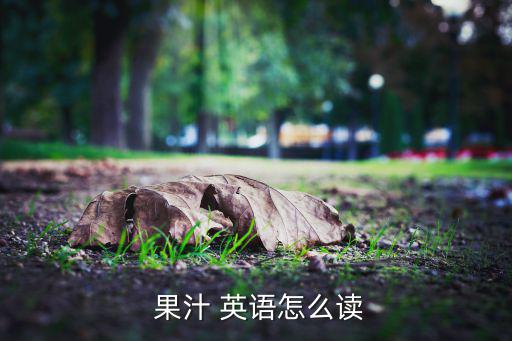 果汁的英語(yǔ)怎么寫單詞,水果果汁葡萄柚汁香蕉蔓延