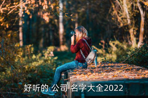 好聽(tīng)的 公司 名字大全2022