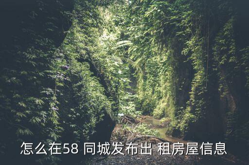 怎么在58 同城發(fā)布出 租房屋信息