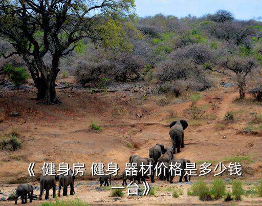 《 健身房 健身 器材價格是多少錢一臺》