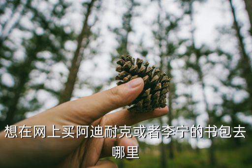 想在網(wǎng)上買阿迪耐克或者李寧的書包去哪里