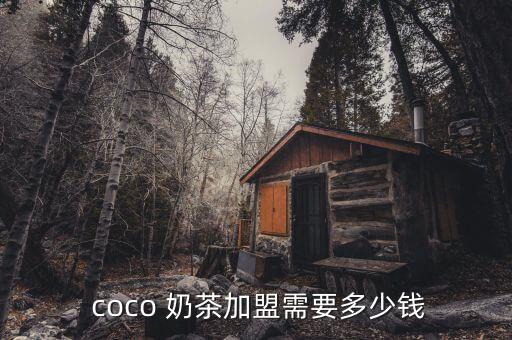 coco奶茶店的加盟,開奶茶店需要注意什么?一文看懂