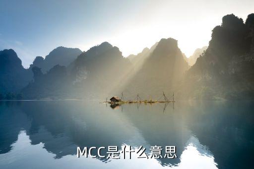 體育用品mcc是什么,導(dǎo)彈控制中心用mcc指什么?